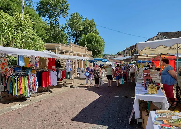 Apartment T1 Bis Avec Balcon, Animaux Admis, Parking Et Wifi Gratuits - Fr-1-841-7 Barbotan-les-Thermes