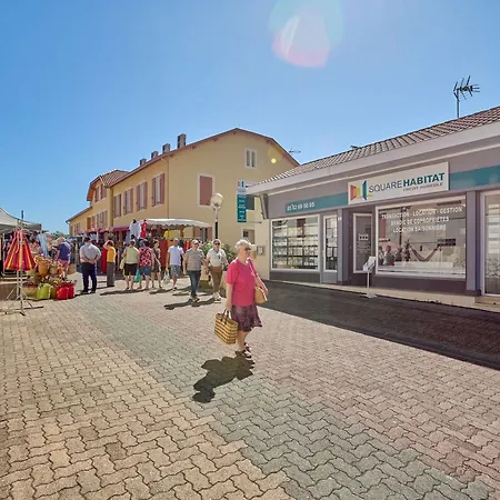 شقة T1 Bis Avec Balcon, Animaux Admis, Parking Et Wifi Gratuits - Fr-1-841-7