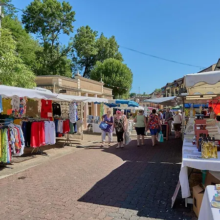 شقة T1 Bis Avec Balcon, Animaux Admis, Parking Et Wifi Gratuits - Fr-1-841-7 باربوتان ليه ثيرميس